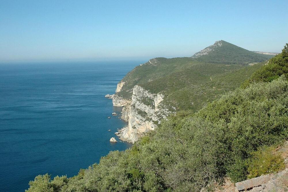 Best Location Duplex Setúbal Eksteriør bilde